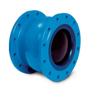 Check Valve