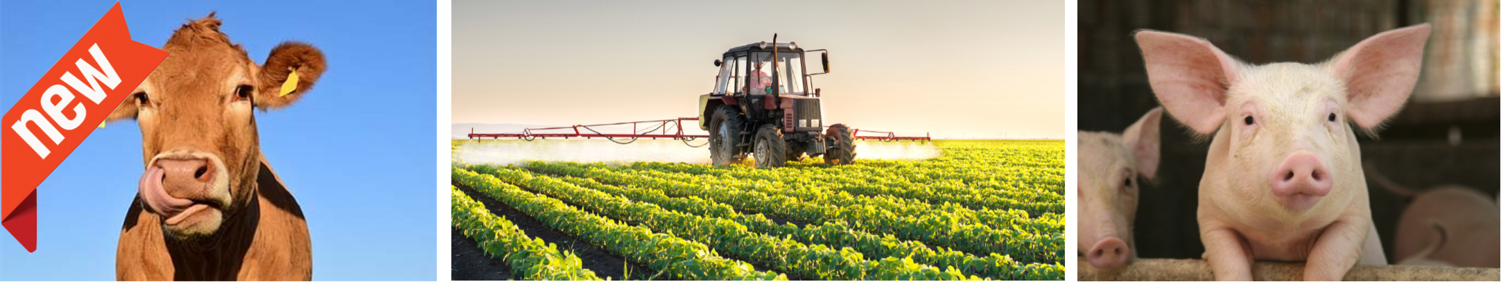 Agriculture Equipment